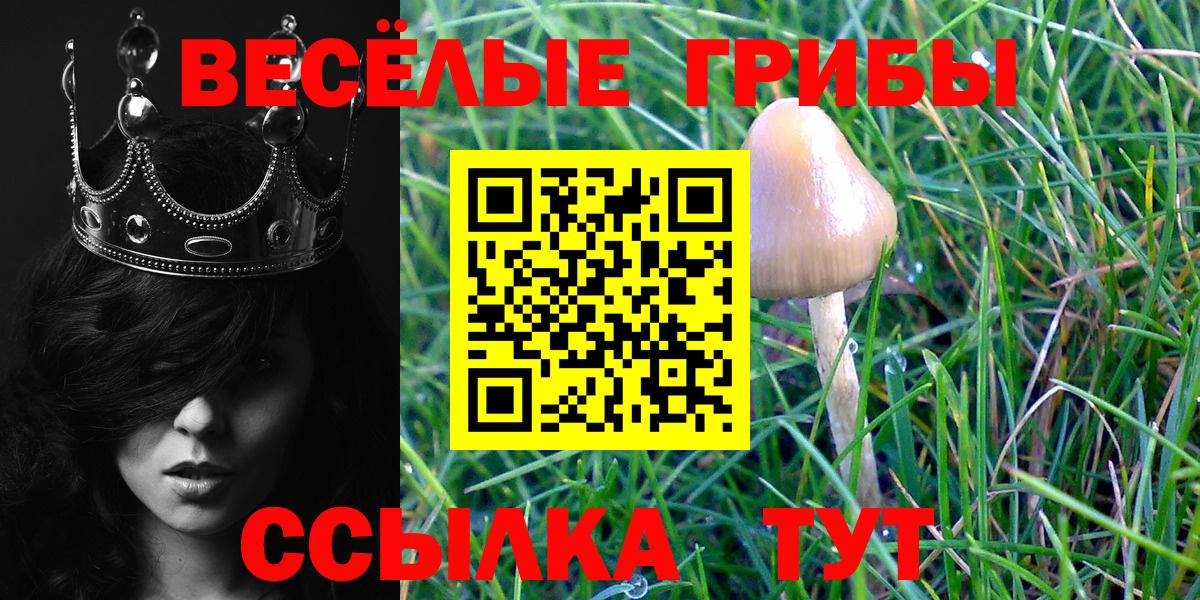Галлюциногенные грибы MAGIC MUSHROOMS Ульяновск